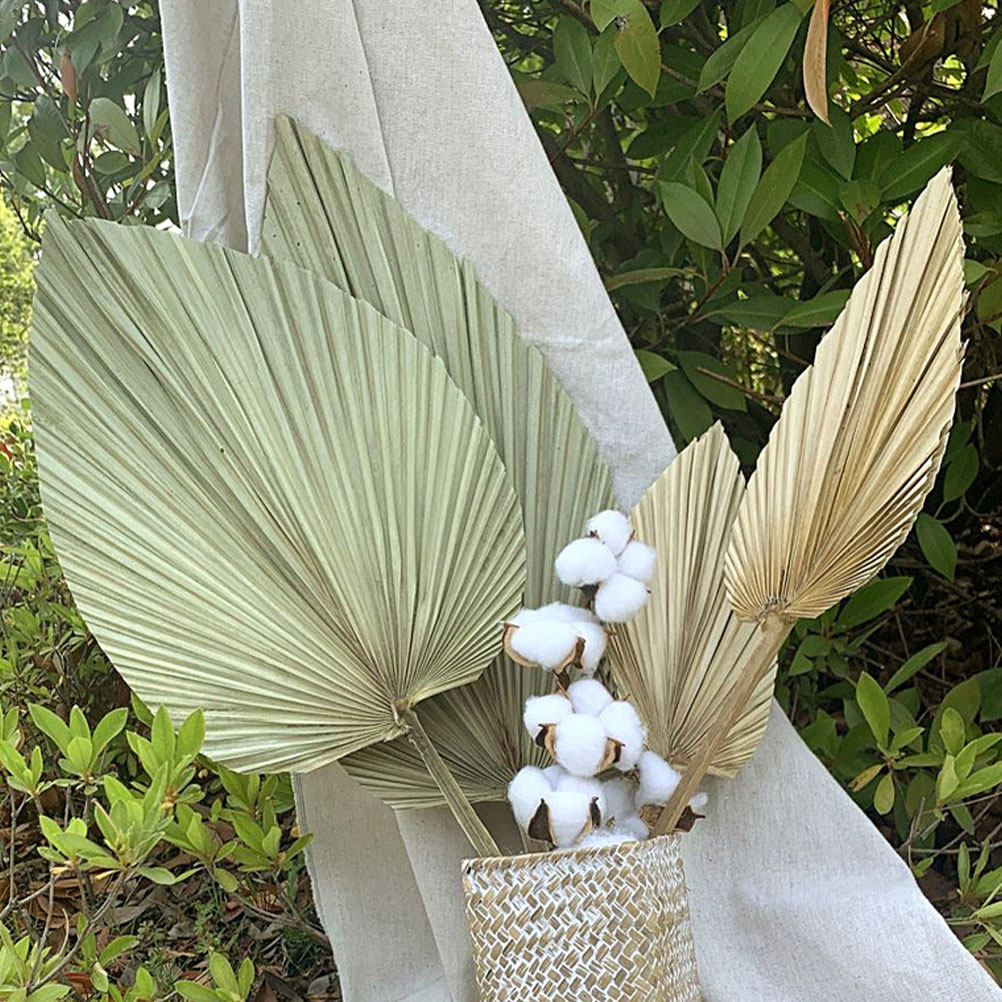 Palm Leaf Dried - ใบปาล์มแห้งธรรมชาติ 1 ชิ้น สำหรับตกแต่งผนัง สีเขียวสดใส เหมาะสำหรับกิจกรรมธีมฮาวาย