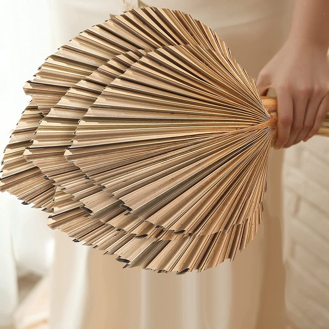Palm Leaf Dried - 5 ชิ้นธรรมชาติแห้งใบปาล์ม Tropical แห้งปาล์มพัดลม Boho แห้งใบตกแต่งบ้านห้องครัวงานแต่งงานร้อน