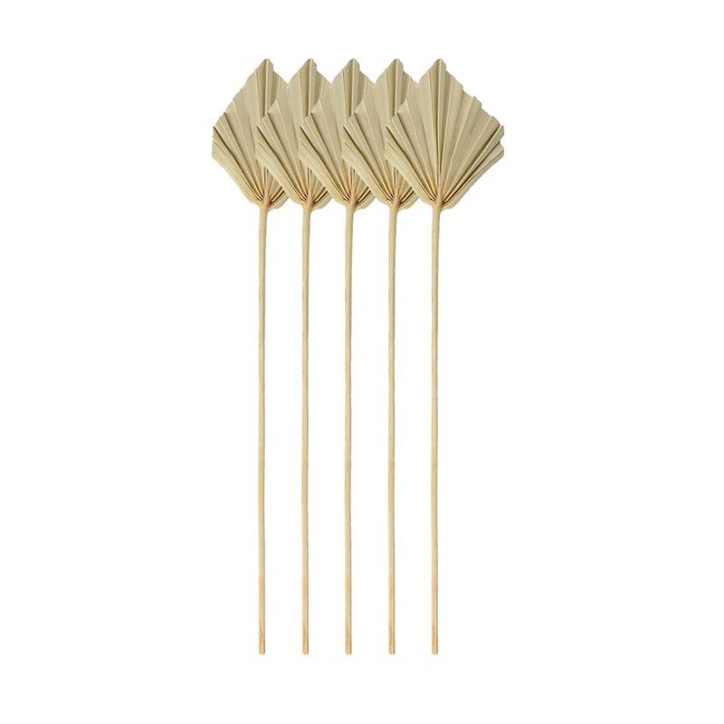 Palm Leaf Dried - ใบปาล์มแห้ง A67P-Boho ขนาดเล็ก ใบปาล์มธรรมชาติแห้ง สำหรับตกแต่ง