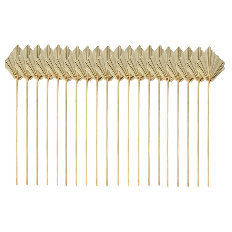 Palm Leaf Dried - ใบปาล์มแห้ง ABYN-Boho ขนาดเล็ก ใบปาล์มแห้งธรรมชาติ สำหรับตกแต่ง