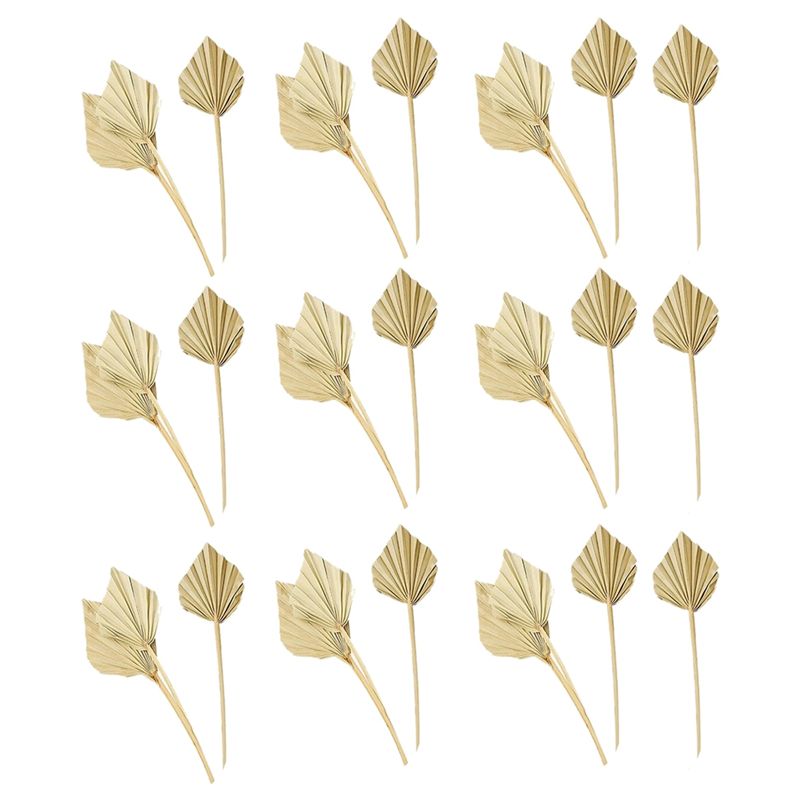 Palm Leaf Dried - ใบปาล์มแห้งแบบโบโฮ AS60-30 ชิ้น ใบปาล์มแห้งธรรมชาติ พัดปาล์มแห้ง ใบปาล์มแห้งพร้อมก้าน