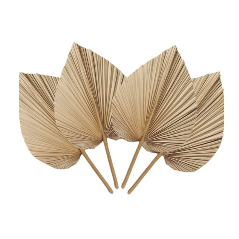 Palm Leaf Dried - A27F-6 ชิ้น ใบปาล์มแห้งธรรมชาติสไตล์ทรอปิคอล สำหรับตกแต่งงานแต่งงาน ตกแต่งผนังห้องนอน