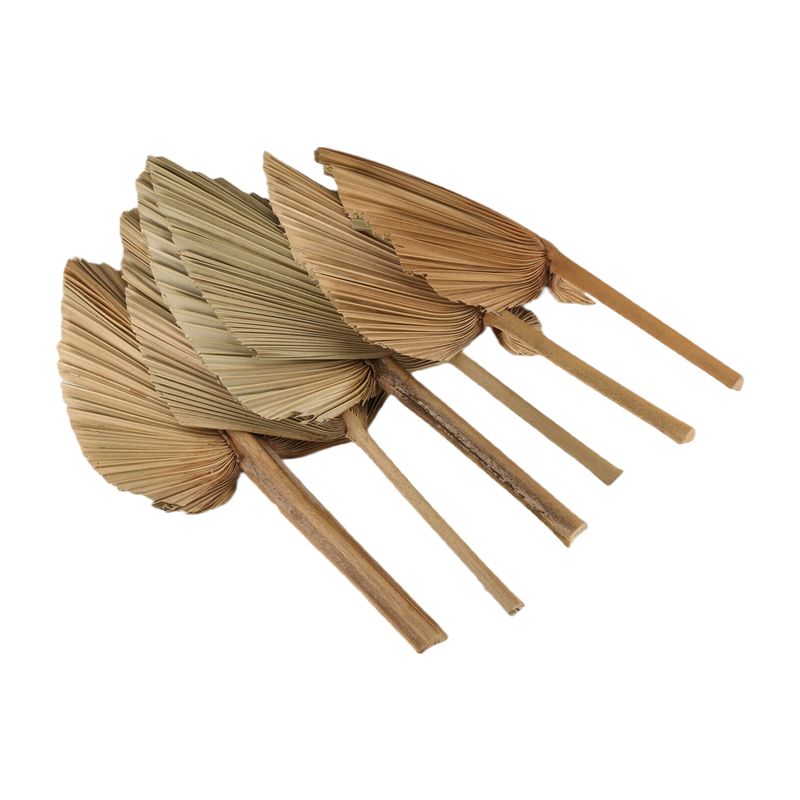 Palm Leaf Dried - ใบปาล์มแห้ง ABKO-6PCS ใบปาล์มแห้งธรรมชาติ พัดใบปาล์มขนาดใหญ่ สำหรับตกแต่งงานแต่งงานสไตล์โบโฮ ของตกแต่งใบปาล์มเขตร้อน