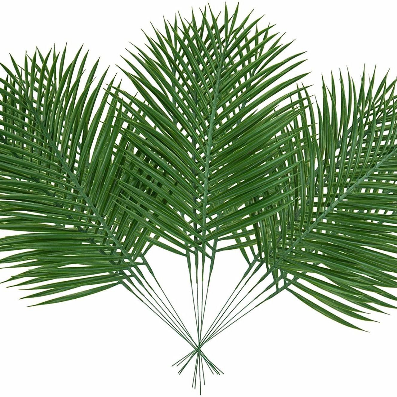 5 ชิ้น Golden ประดิษฐ์ใบปาล์มป - Palm Leaf Dried บทวิจารณ์และราคา