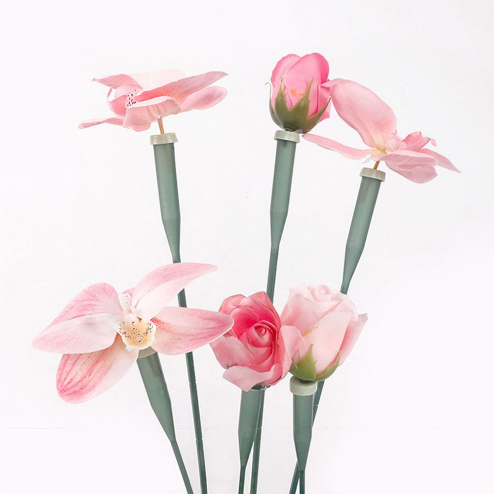 หลอดดอกไม้ขนาด 6 นิ้ว/12 นิ้ว  - The Florist Supply บทวิจารณ์และราคา
