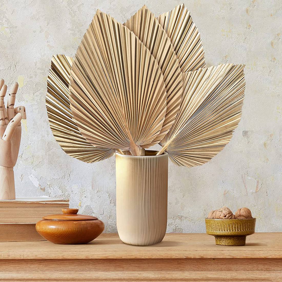 5 ชิ้นธรรมชาติแห้งใบปาล์ม Trop - Palm Leaf Dried บทวิจารณ์และราคา