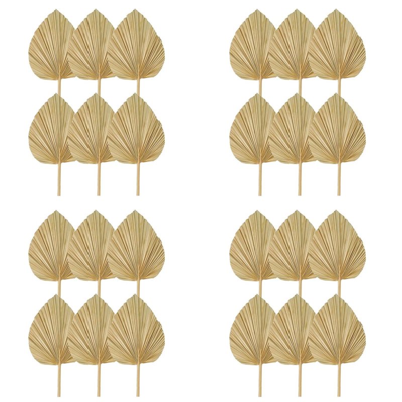 【คริสต์มาส】ใบปาล์มแห้ง 24 ชิ้น - Palm Leaf Dried บทวิจารณ์และราคา
