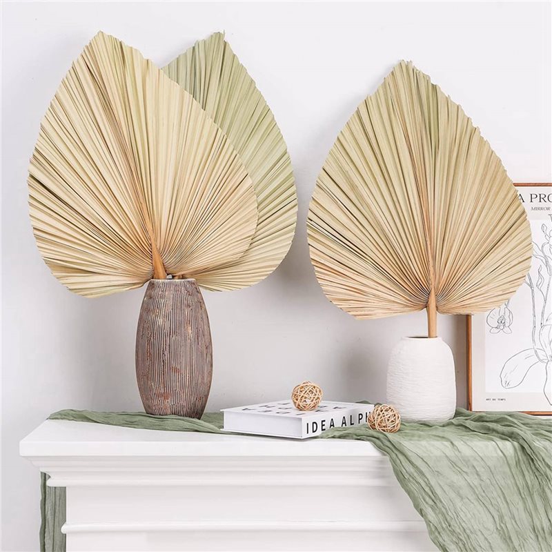【คริสต์มาส】ใบปาล์มแห้ง 24 ชิ้น - Palm Leaf Dried บทวิจารณ์และราคา