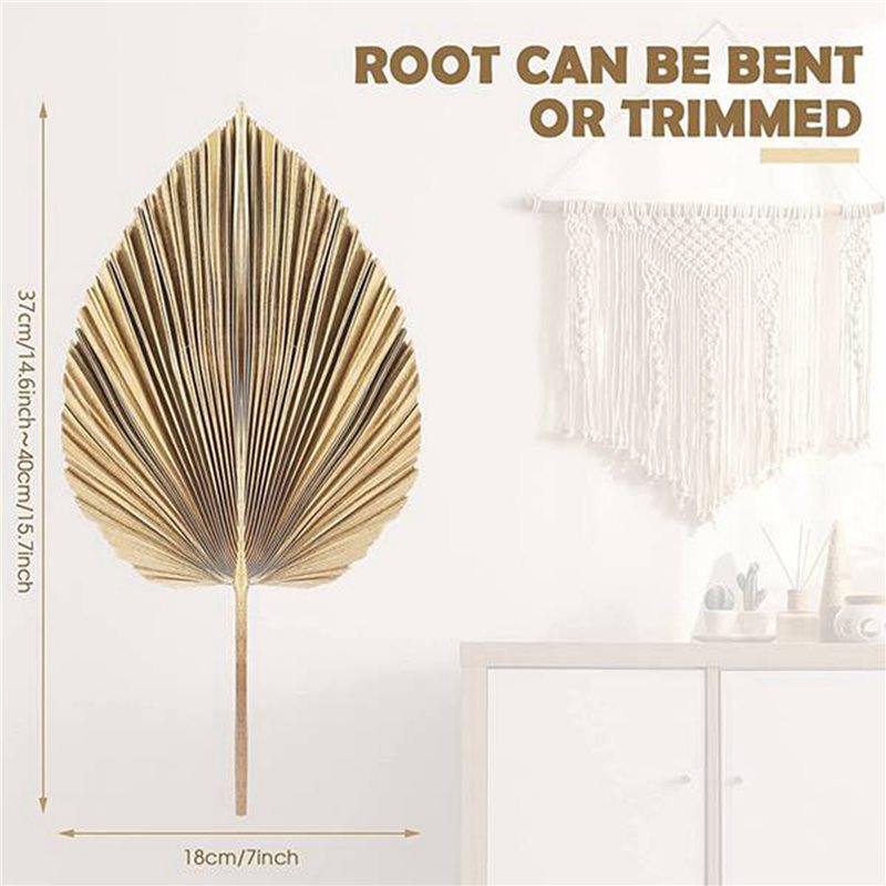 【คริสต์มาส】ใบปาล์มแห้ง 24 ชิ้น - Palm Leaf Dried บทวิจารณ์และราคา