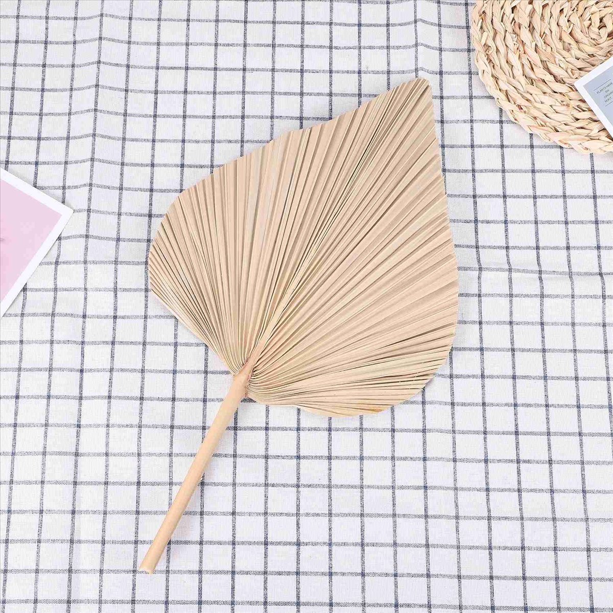 NOCM ใบปาล์มแห้งตกแต่งห้อง 5 ช - Palm Leaf Dried บทวิจารณ์และราคา