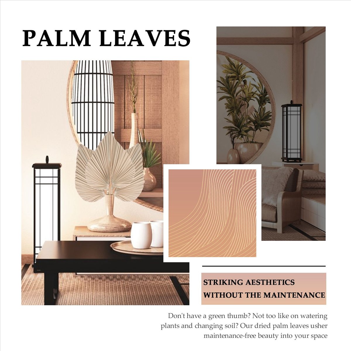 NOCM ใบปาล์มแห้งตกแต่งห้อง 5 ช - Palm Leaf Dried บทวิจารณ์และราคา