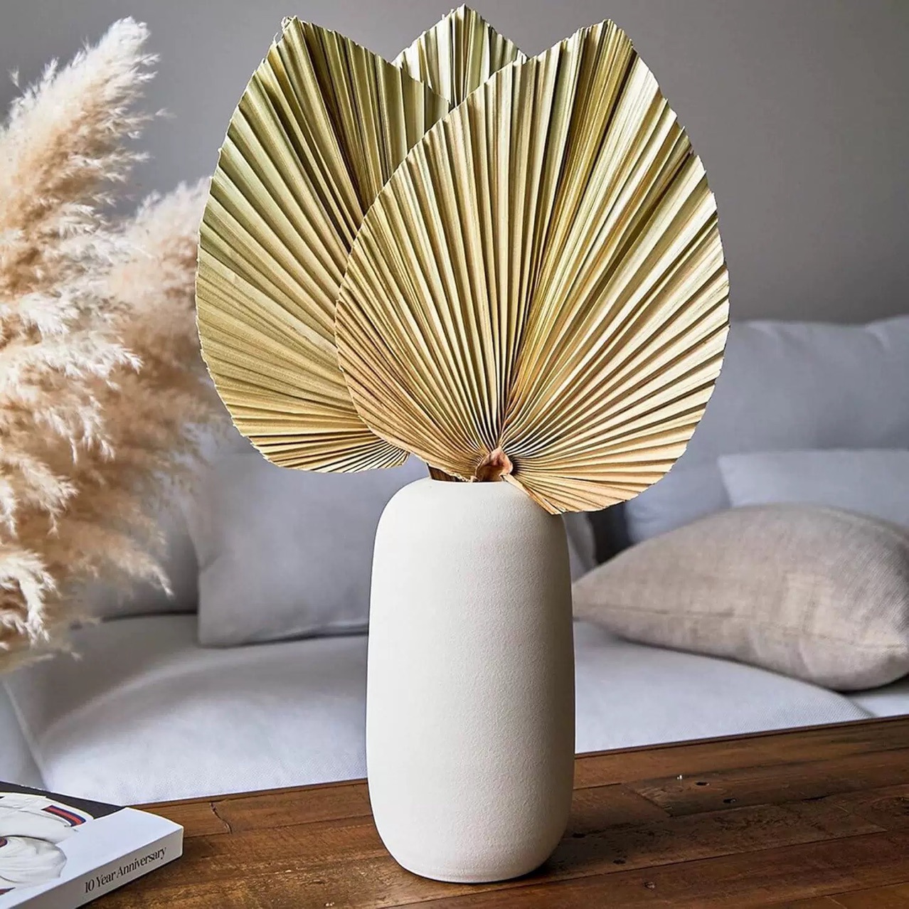 ใบปาล์มแห้งธรรมชาติ 3 ชิ้น ของ - Palm Leaf Dried บทวิจารณ์และราคา