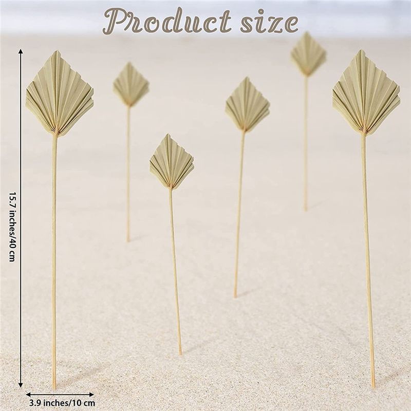 ใบปาล์มแห้งแบบโบโฮ AS60-30 ชิ้ - Palm Leaf Dried บทวิจารณ์และราคา