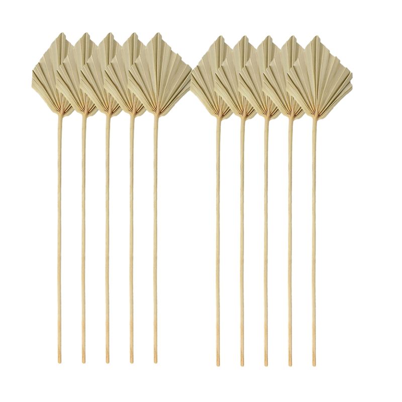 ใบปาล์มแห้ง TFORU-Boho ขนาดเล็ - Palm Leaf Dried บทวิจารณ์และราคา