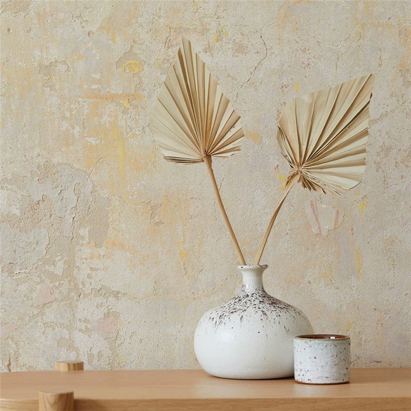 ใบปาล์มแห้ง TFORU-Boho ขนาดเล็ - Palm Leaf Dried บทวิจารณ์และราคา