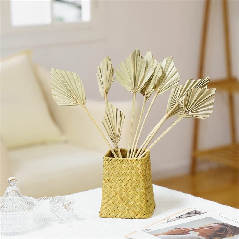 ใบปาล์มแห้ง TFORU-Boho ขนาดเล็ - Palm Leaf Dried บทวิจารณ์และราคา
