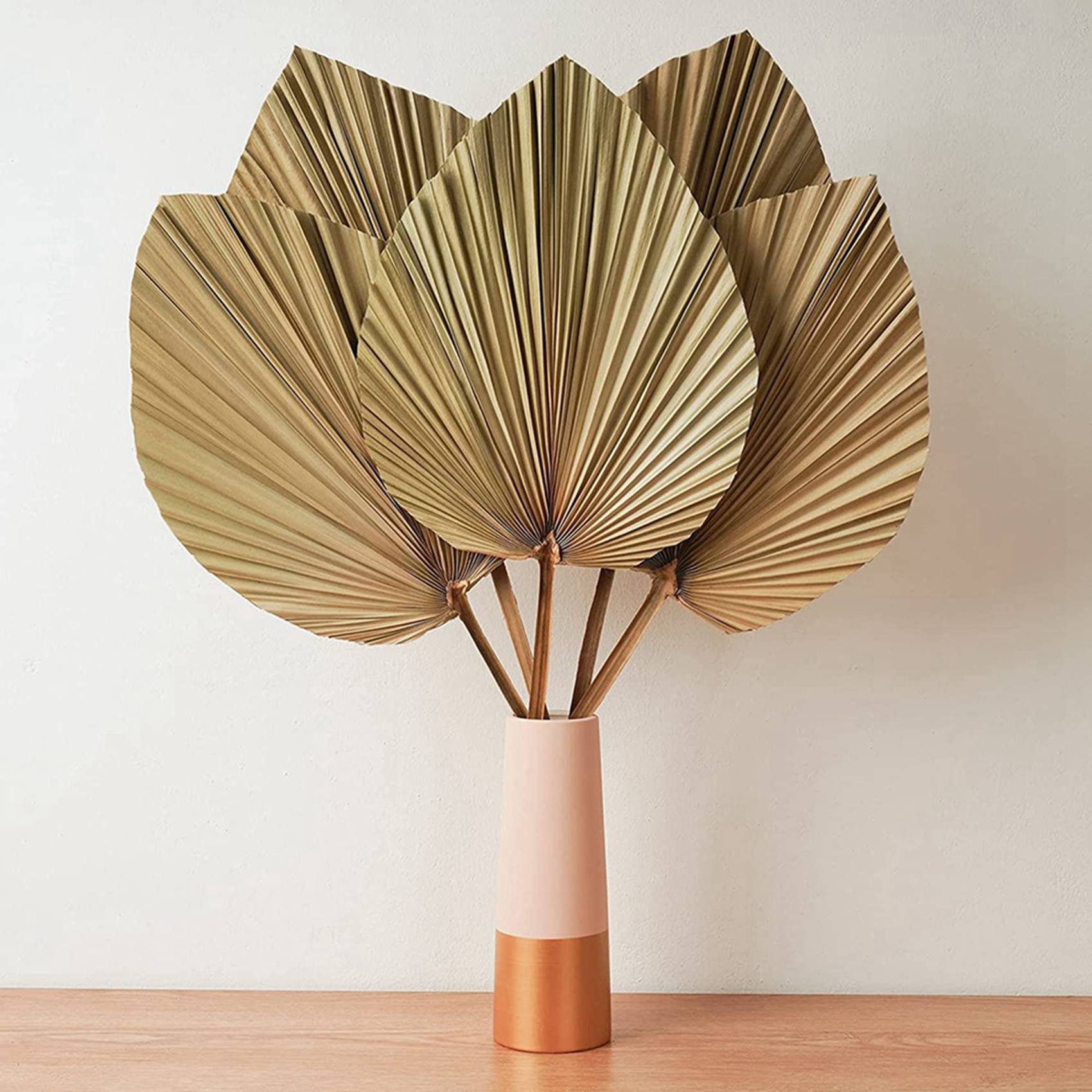 ใบปาล์มแห้งตกแต่งห้อง 10 ชิ้น  - Palm Leaf Dried บทวิจารณ์และราคา