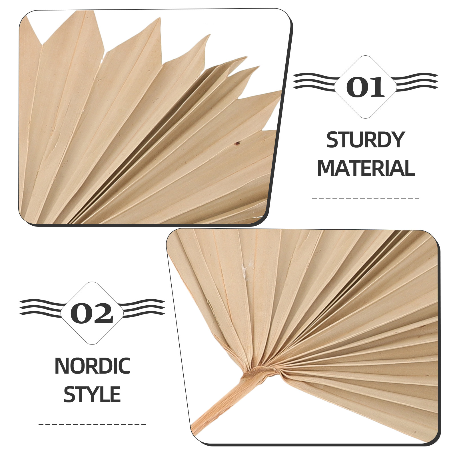 ใบปาล์มแห้งตกแต่ง 4 ชิ้น ของตก - Palm Leaf Dried บทวิจารณ์และราคา
