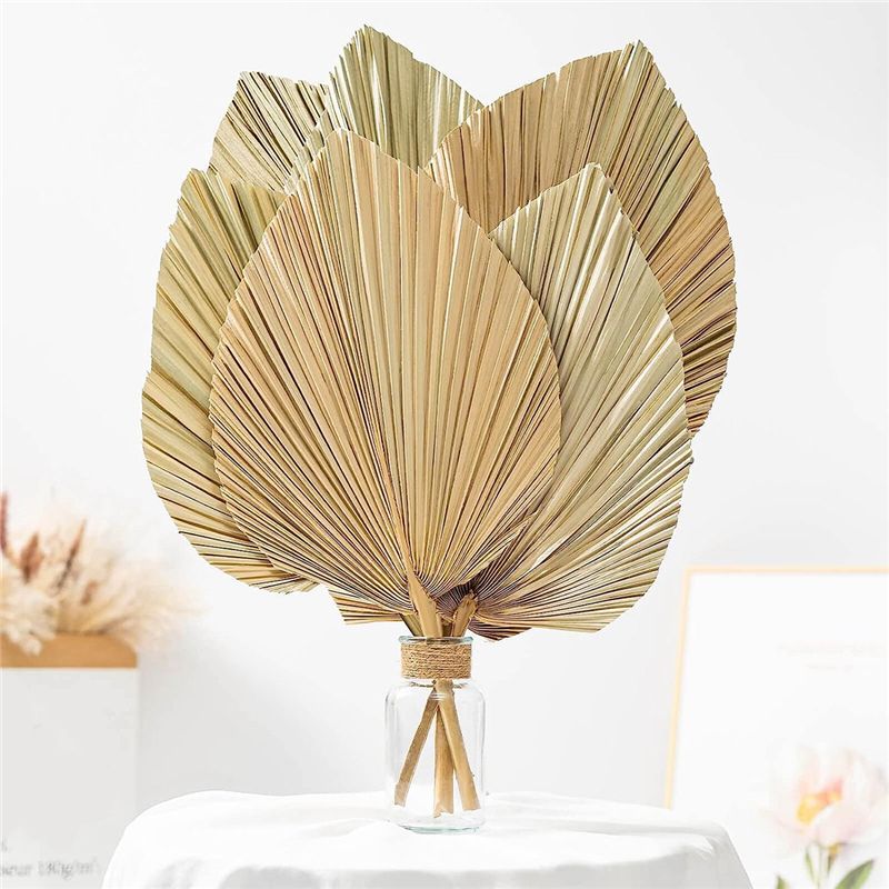 A27F-6 ชิ้น ใบปาล์มแห้งธรรมชาต - Palm Leaf Dried บทวิจารณ์และราคา