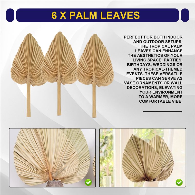 ใบปาล์มแห้ง ABKO-6PCS ใบปาล์มแ - Palm Leaf Dried บทวิจารณ์และราคา