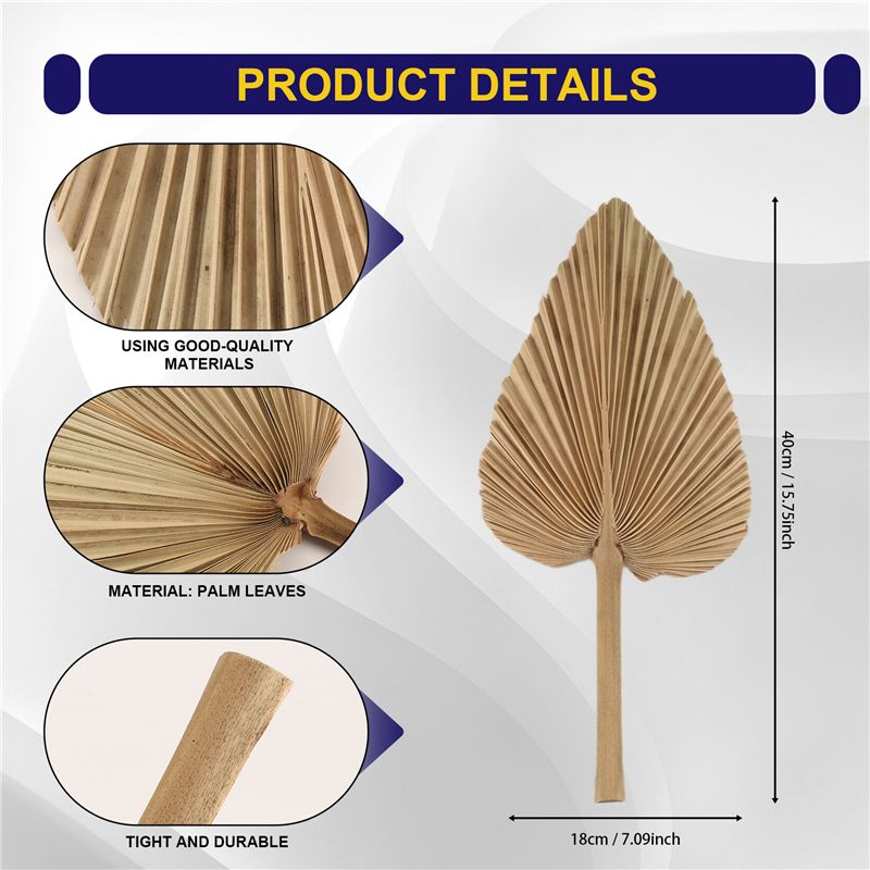 ใบปาล์มแห้ง ABKO-6PCS ใบปาล์มแ - Palm Leaf Dried บทวิจารณ์และราคา