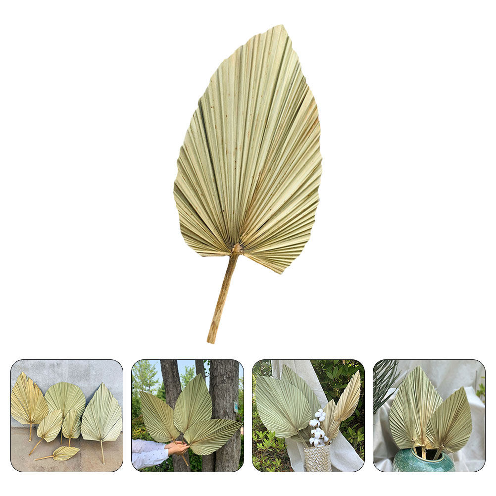 ใบปาล์มแห้งธรรมชาติ 1 ชิ้น สำห - Palm Leaf Dried บทวิจารณ์และราคา